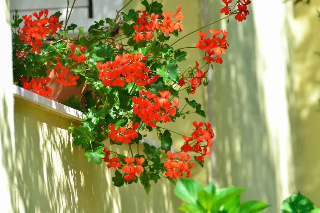 Holiday Home Pakostane 21  Drage